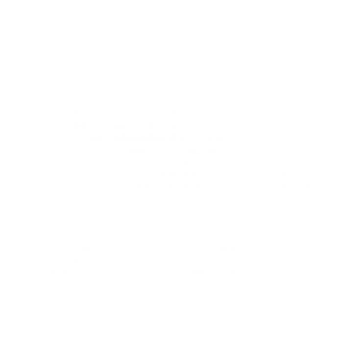 3r 3r
