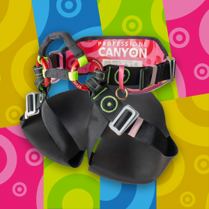 canyon revolution pro